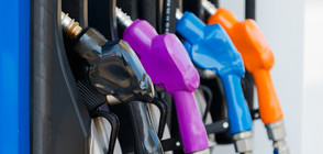 Законът за горивата: Комисия гласува "за" отлагането му (ВИДЕО)