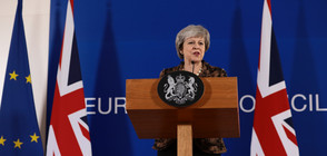 Британското правителство се подготвя за напускане на ЕС без сделка (ВИДЕО)