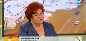 Заради изказване на Каракачанов: Роми излизат на протест пред МС