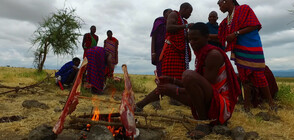 “Без багаж“ на обяд в саваната на Танзания