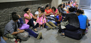 Нов керван имигранти тръгна от Хондурас към САЩ