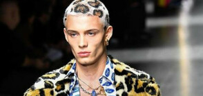 Леопардовата окраска ще бъде следващият моден тренд в мъжките прически