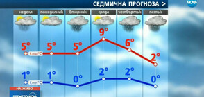 Прогноза за времето (19.01.2019 - централна)