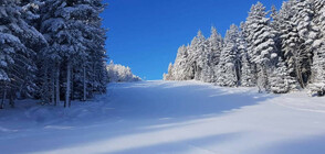 Времето в петък: Зима в Северозападна България, пролет - в Източна