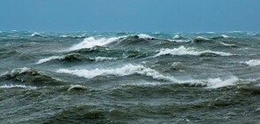 Малък самолет изчезна, на борда е бил играч от Висшата лига