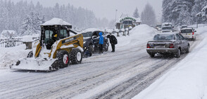 Студовете в Полша тази зима взеха над 60 жертви