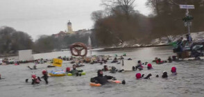 Близо 2000 души се състезаваха в ледените води на Дунав (ВИДЕО)