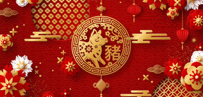 Китай се готви за посрещането на Годината на глигана