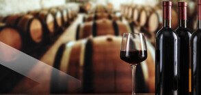България изнася 60 милиона литра вино