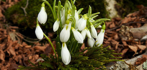 Какво ще е времето през март?