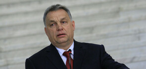 Орбан моли да не го изключват от ЕНП