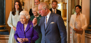 Херцогините Катрин и Меган на прием в Бъкингамския дворец (ГАЛЕРИЯ)
