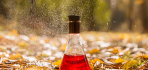 Откриха „еликсир на безсмъртието“ в древна китайска гробница