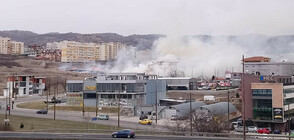 Пожар в близост до жилищни сгради в Благоевград (СНИМКИ)