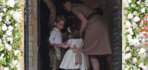 Какви трябва да бъдат бавачките в британския кралски двор? (ВИДЕО+СНИМКИ)