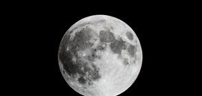 Каскада на парашутисти за последната Супер Луна на 2019 г.