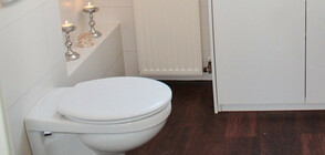 "Умни тоалетни" предупреждават за инфаркт и инсулт