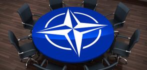70 ГОДИНИ НАТО: Плюсовете и минусите от членството на България
