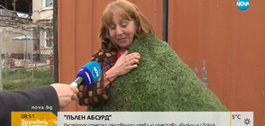 "ПЪЛЕН АБСУРД": Инспектори отнесоха изкуствената трева на семейство, помислили я за боклук