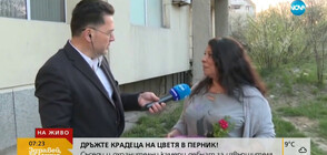 Съседи и охранителни камери дебнат крадци на цветя в Перник