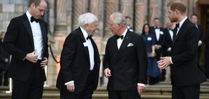 Британските принцове и футболни звезди - на премиерата на "Нашата планета" (СНИМКИ)