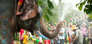 ТАЙЛАНДСКАТА НОВА ГОДИНА: Хора и слонове се "бият" с вода (ВИДЕО)