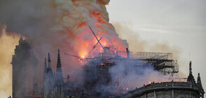 Пожар унищожи голяма част от парижката катедрала „Нотр Дам” (ОБЗОР)