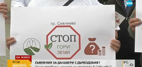 Служители на фирми за дърводобив в Севлиево на протест