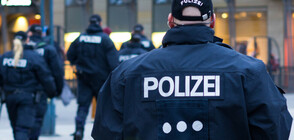 Полицаи в Германия преследваха коне с автобус