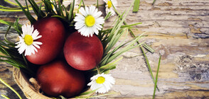 Бачковският манастир с опит за рекорд по боядисване на яйца