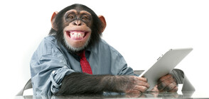 Шимпанзе се научи да работи със смартфон (ВИДЕО)