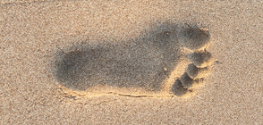 Откриха най-стария отпечатък от човешка стъпка в двете Америки