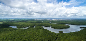 Кога са се заселили хората в Амазония?