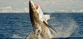 Най-екстремните туристически дестинации по света (ГАЛЕРИЯ)