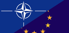 ЕС и НАТО обсъдиха онлайн заплахите преди изборите