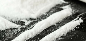 В Португалия задържаха над 1 т. кокаин