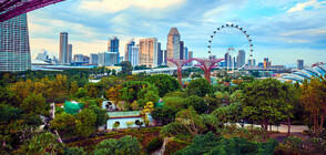 Най-зелените градове по света (ГАЛЕРИЯ)