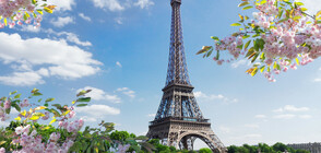 Париж – градът на любовта (ГАЛЕРИЯ)