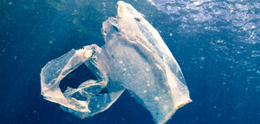 Рекордно спускане под вода откри пластмасови отпадъци на дъното на океана