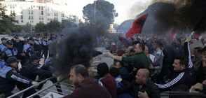 Полицай беше ранен на митинга на опозицията в Тирана (ВИДЕО+СНИМКИ)