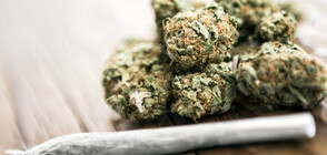 Заловиха пратка с хашиш за 50 млн. евро в Италия