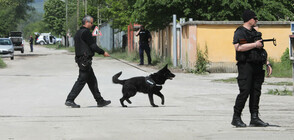 ГОРЕЩА СЛЕДА: Откриха оръжие, с което вероятно е извършено едно от убийствата в Костенец