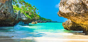 Остров Занзибар – див и неопитомен (ГАЛЕРИЯ)