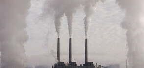 Организация съди Столичната община заради мръсния въздух
