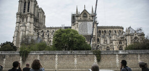 Ремонтът на "Нотр Дам" развихри въображението на архитектите (СНИМКИ)