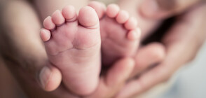 Полякиня роди шест близначета