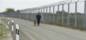 Унгарските гранични власти задържаха 52 мигранти