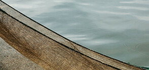 Извадиха 70 килограма риба от бракониерски мрежи в язовир "Ястребино"