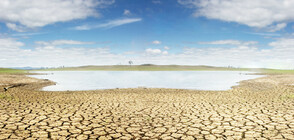 След рекорна суша: Сидни налага ограничения върху използването на вода