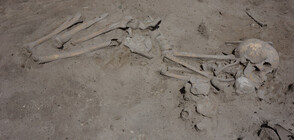Гроб на 7 600 години откриха в "Слатина" археолози от БАН (ВИДЕО+СНИМКИ)